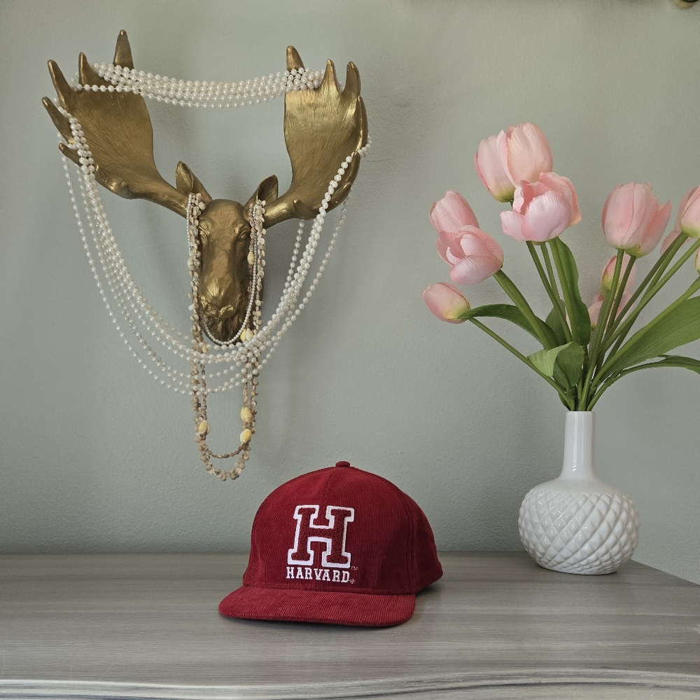 H&M Harvard Courduroy Hat